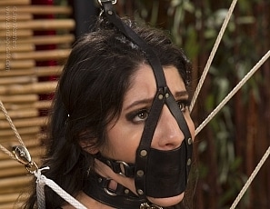 1200-1299/wmbcv-1254